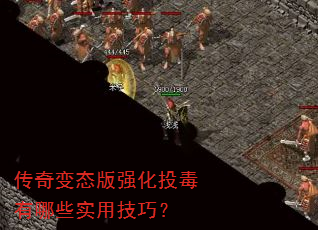 �����̬��ǿ��Ͷ������Щʵ�ü��ɣ�