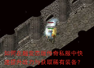 ����ڳ���̬�洫��˽���п�������ս�����ȡϡ��װ����