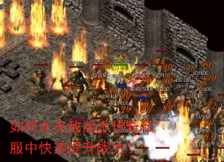������޵а汾����˽���п�������ս����