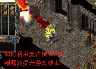 ������ø��Ŵ�����и�©��������ϷЧ�ʣ�