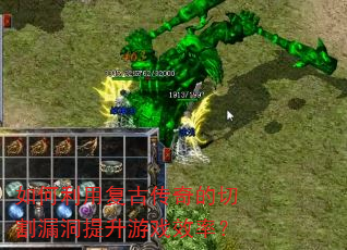 ������ø��Ŵ�����и�©��������ϷЧ�ʣ�