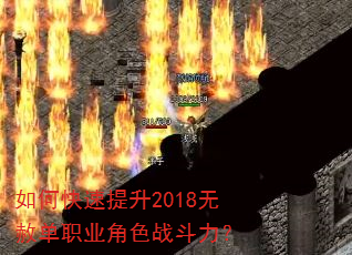 ��ο�������2018���ⵥְҵ��ɫս������