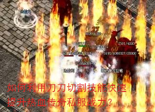 ������õ����и�ܿ���������Ѫ����˽��ս����