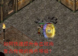 如何快速提升合击欣雨复古传奇的角色等级? 如何快速提升合击欣雨复古传奇的角色等级?