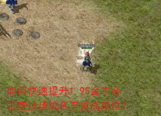 如何快速提升1.95金牛合击竞技场排名至更高段位? 如何快速提升1.95金牛合击竞技场排名至更高段位?