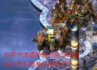 ��ο��������¿���̬��ְҵ����˽����ɫս������