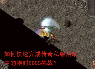 ��ο�����ɴ���˽����е���ʱBOSS��ս��