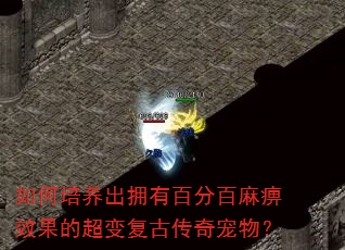 ���������ӵ�аٷְ����Ч���ĳ��临�Ŵ�����