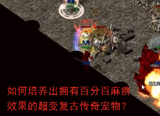 ���������ӵ�аٷְ����Ч���ĳ��临�Ŵ�����