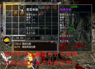 ���������ӵ�аٷְ����Ч���ĳ��临�Ŵ�����