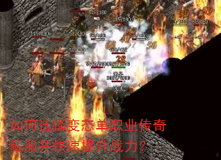 ���ѡ���̬��ְҵ����˽������������ս����