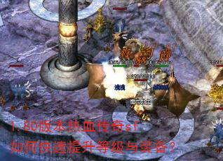 1.80�汾��Ѫ����sf��ο��������ȼ���װ����