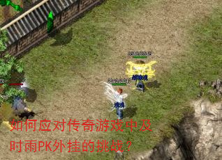 如何应对传奇游戏中及时雨PK外挂的挑战? 如何应对传奇游戏中及时雨PK外挂的挑战?